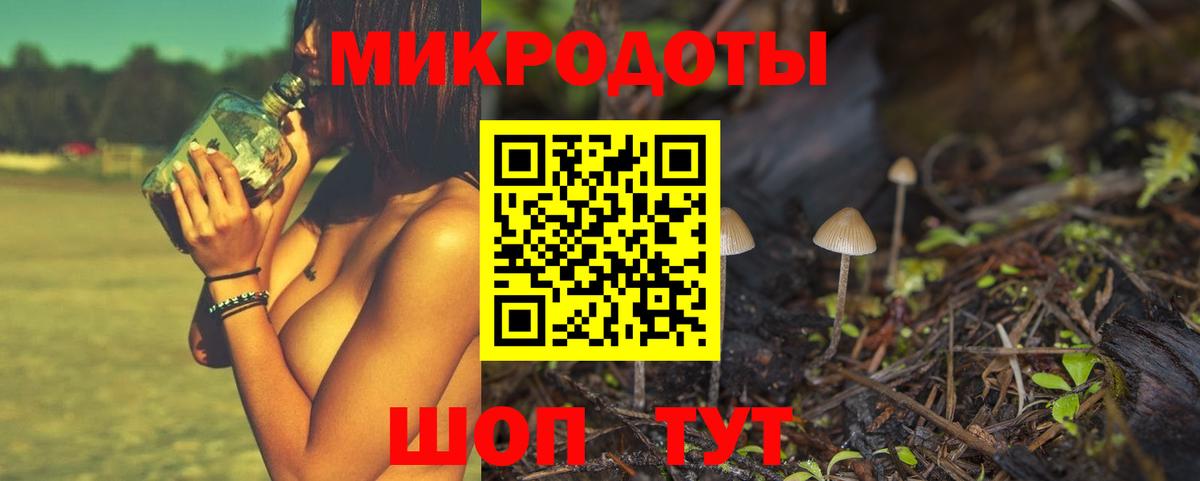 Псилоцибиновые грибы Cubensis Сыктывкар