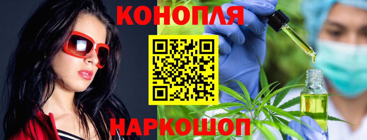 Канабис план  Бошки Шишки сатива  Сыктывкар  Бошки марихуана SATIVA & INDICA  Вход с VPN 